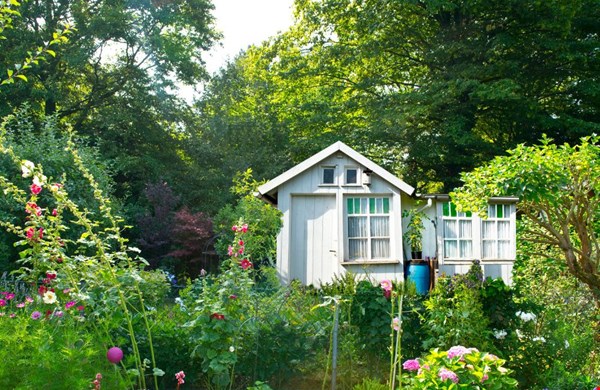 Dit is hoe jij de perfecte moestuin kunt samenstellen Dit is hoe jij de perfecte moestuin kunt samenstellen